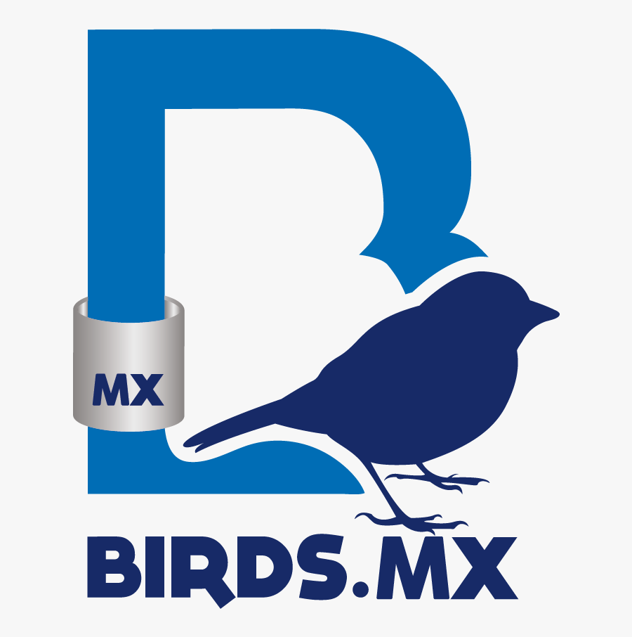 Perching Bird, Transparent Clipart