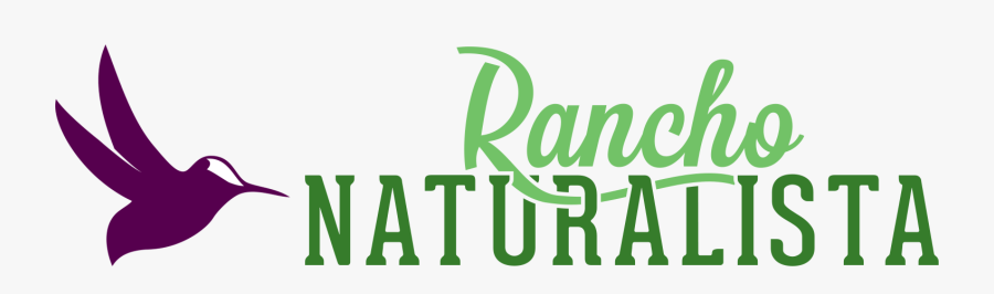 Rancho Naturalista - Rancho Naturalista Costa Rica, Transparent Clipart
