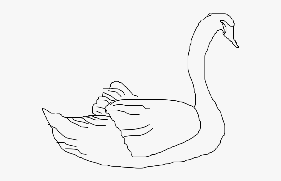 Clip Art Cisne Desenho - Sketch, Transparent Clipart