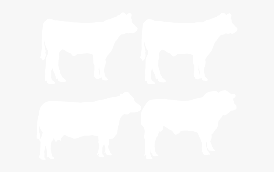 Dairy Cow, Transparent Clipart