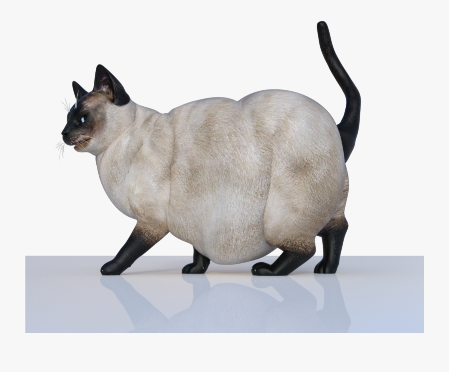 Transparent Fat Cat Png - Fat Cats Transparent, Transparent Clipart