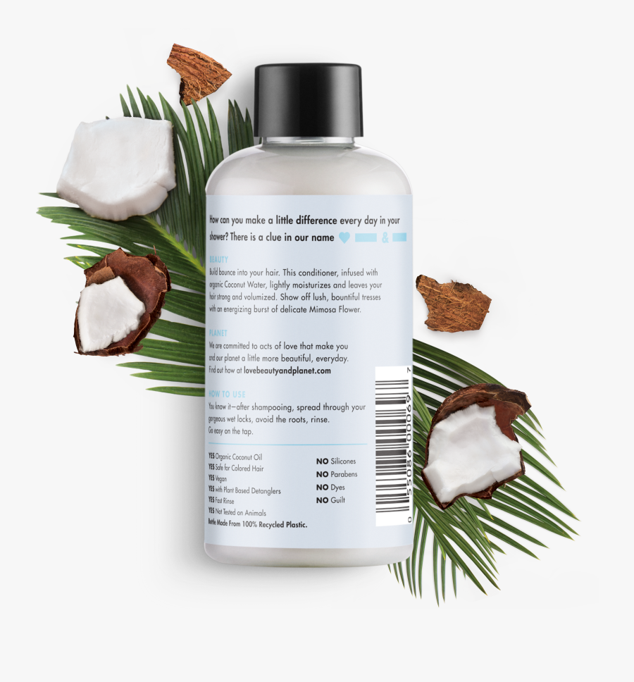 Transparent Coconut Drink Clipart, Transparent Clipart