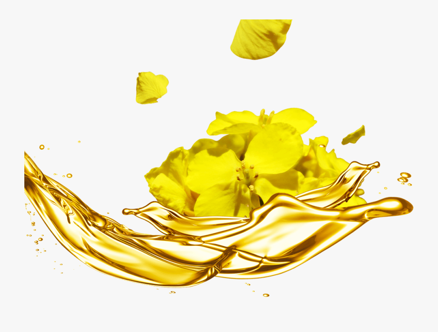 Vale Por Un Cambio De Aceite, Transparent Clipart