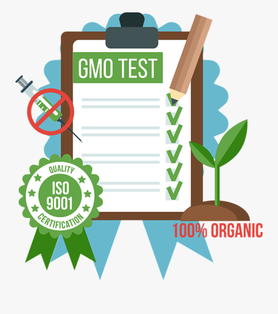 Gmo-test - Bloco Largadinho, Transparent Clipart