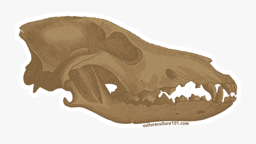 Gray Wolf Skull Clip Art - Wolf Skull, Transparent Clipart