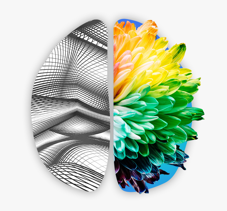 Different Colors, Transparent Clipart
