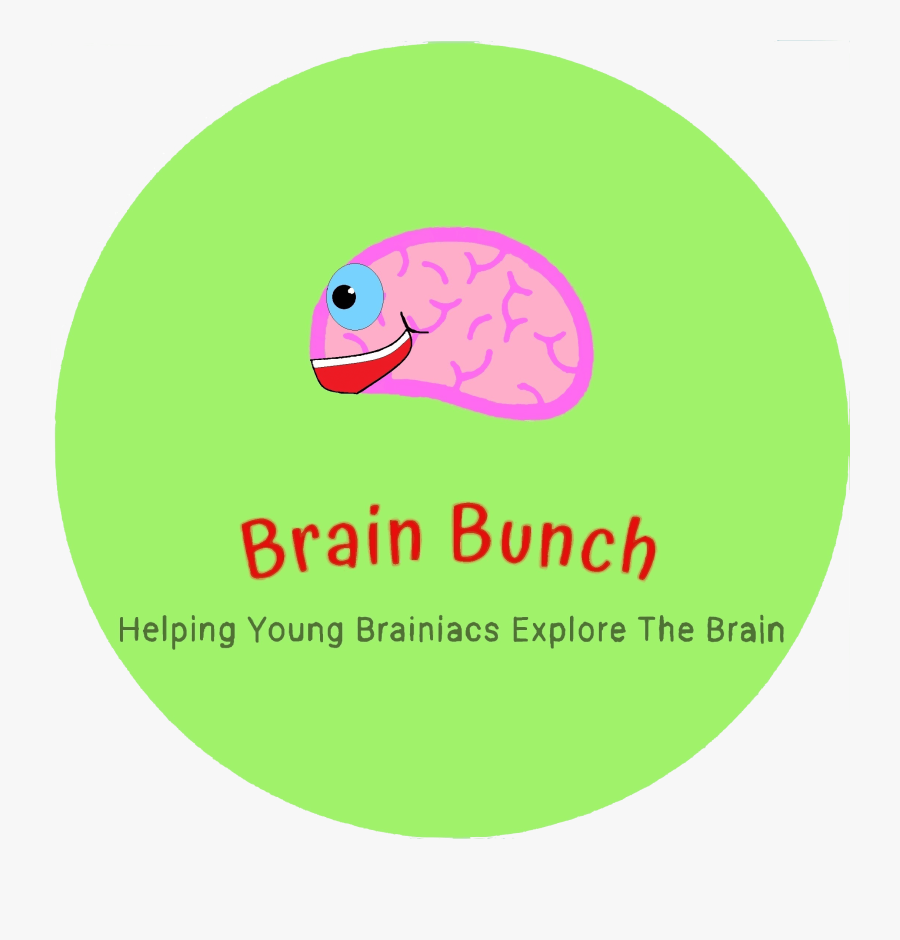 Circle, Transparent Clipart