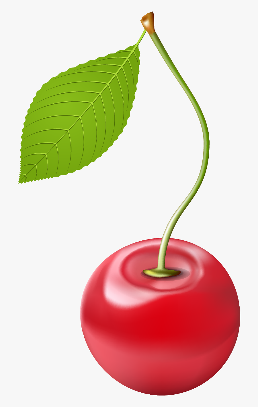 Cherry Clipart Different Fruit - Cherry, Transparent Clipart