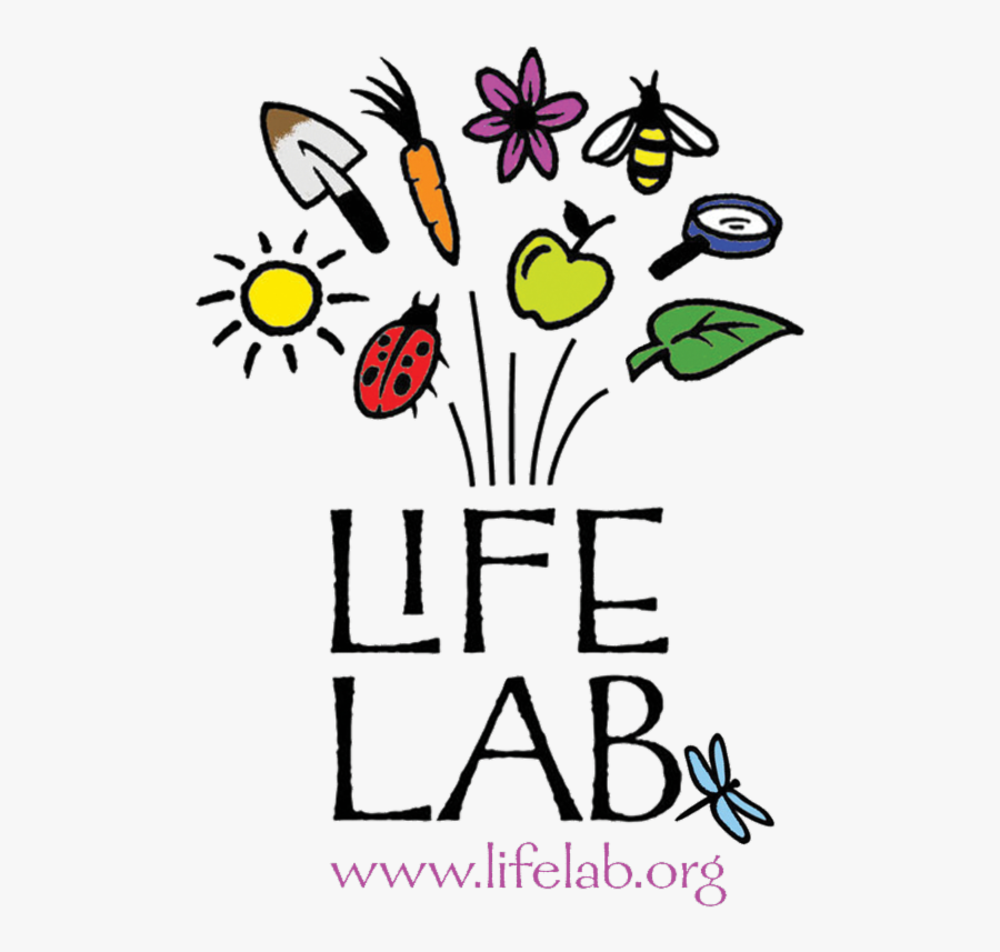 Cookout Clipart Byob, Transparent Clipart