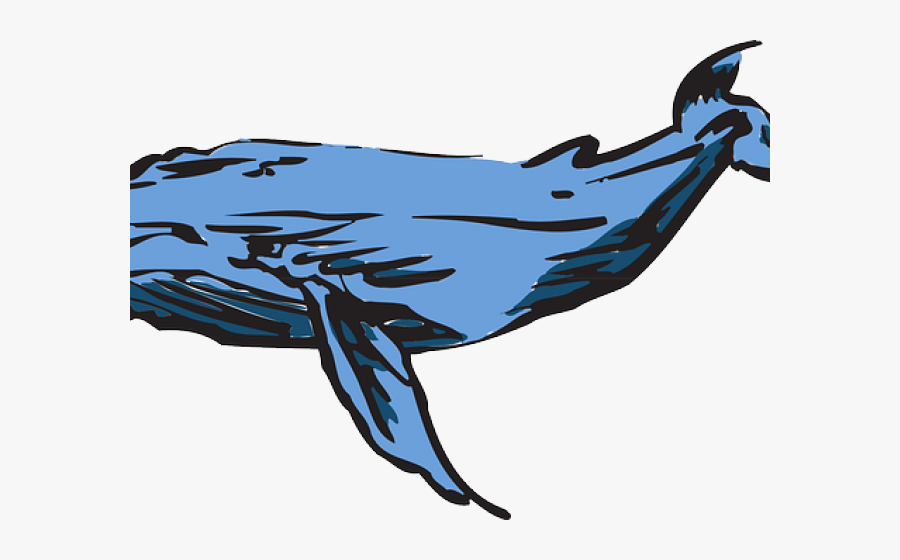 Humpback Whale Clipart Public Domain - Poze Cu Balene Albastre, Transparent Clipart