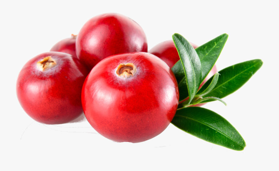 Cranberries Png - Cranberry Png, Transparent Clipart