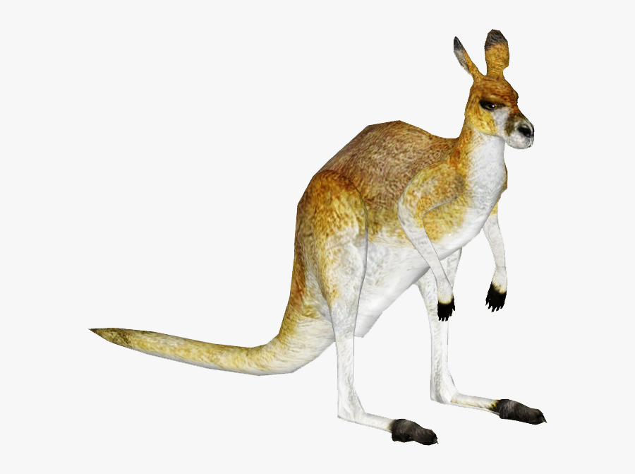 Clip Art Antilopine Tamara Henson Zt - Kangaroo, Transparent Clipart