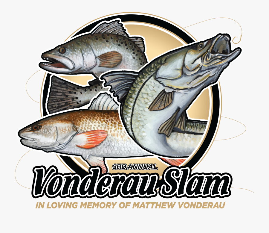 Salmon Clipart Brown Trout - Salmon, Transparent Clipart