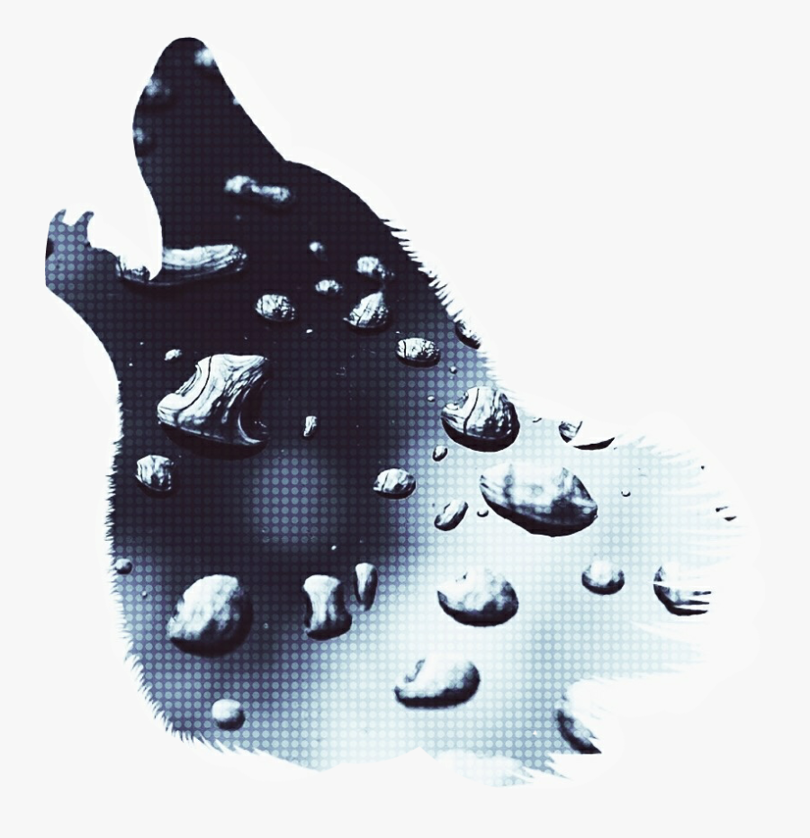 Glass Of Water, Transparent Clipart