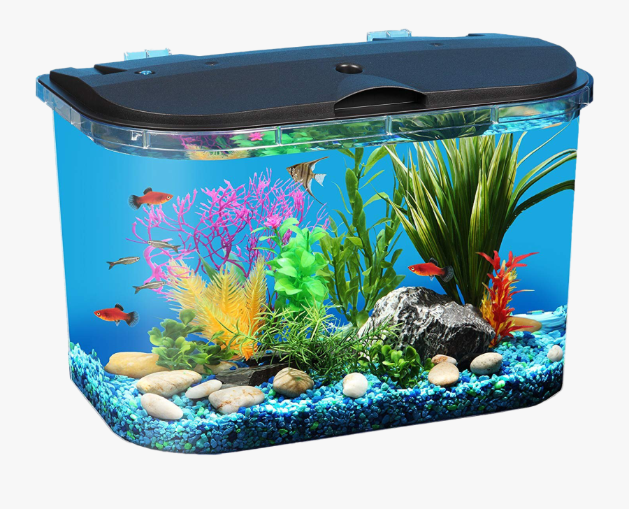 Aquarium Fish Tank Png Download Image - Fish Tank, Transparent Clipart