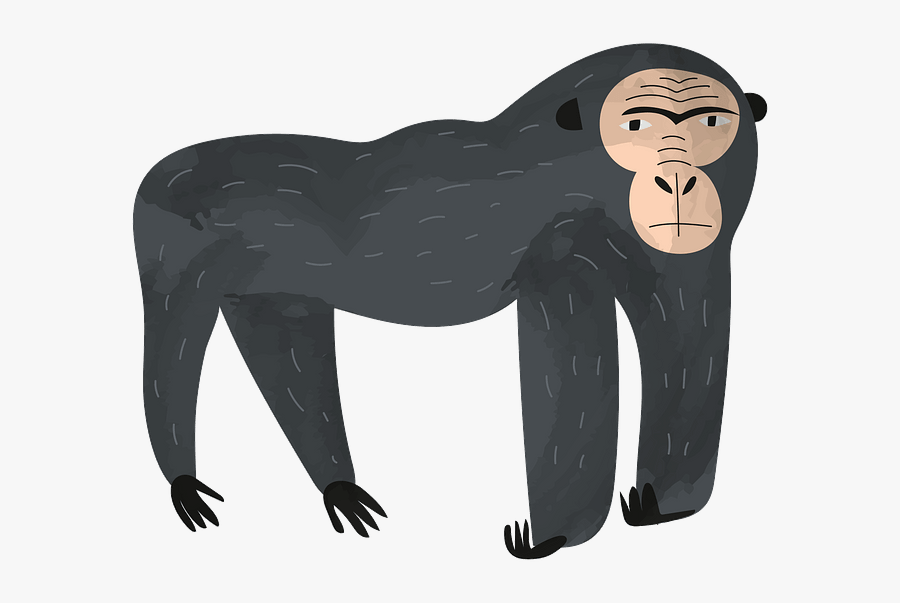 Cartoon, Transparent Clipart