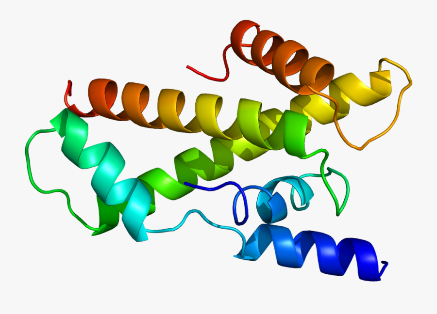 Protein Taf13 Pdb 1bh8, Transparent Clipart