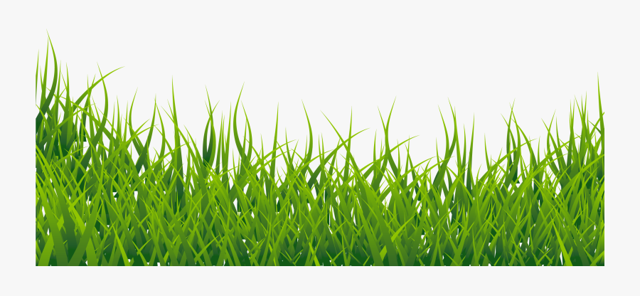 Grass Vector, Transparent Clipart