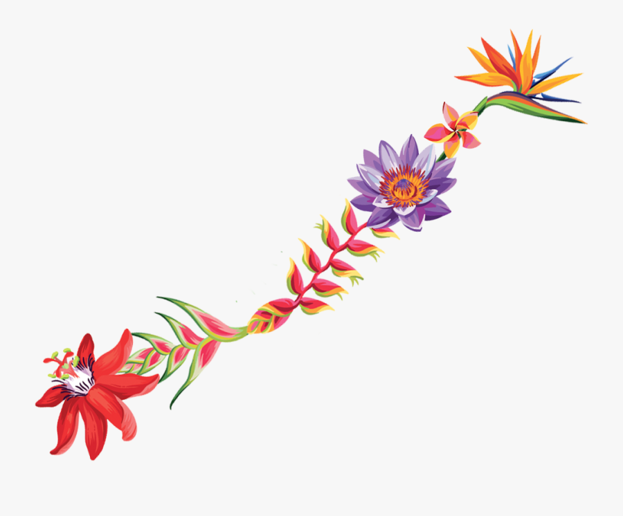 Lily Family, Transparent Clipart