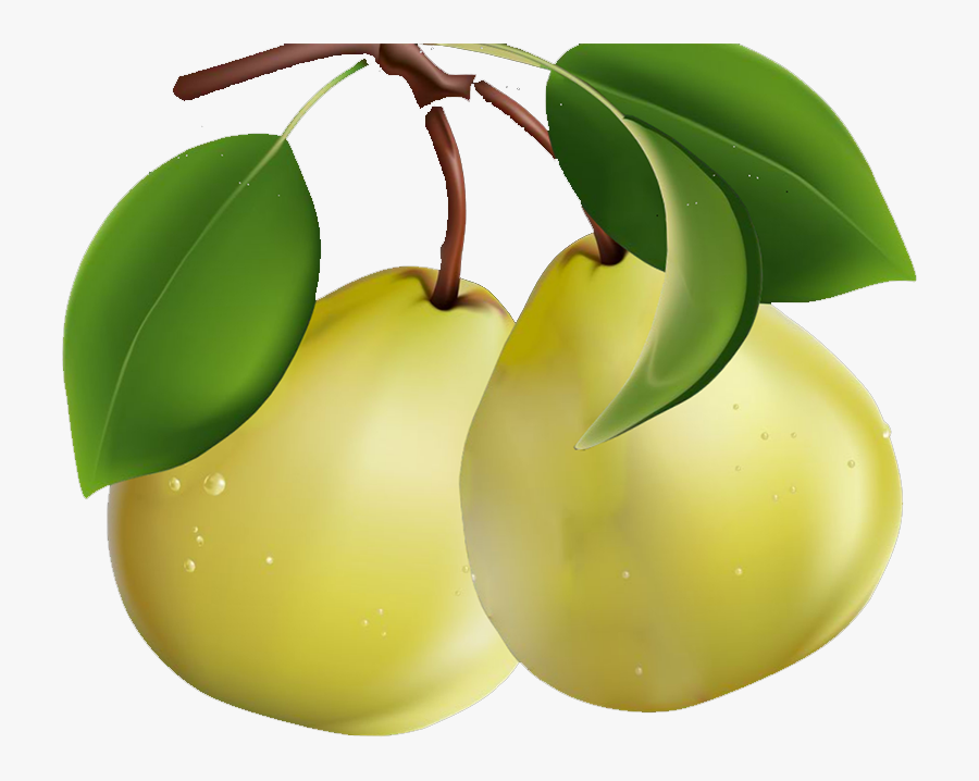 Pear Clipart Pear Slice - Pears Clipart, Transparent Clipart