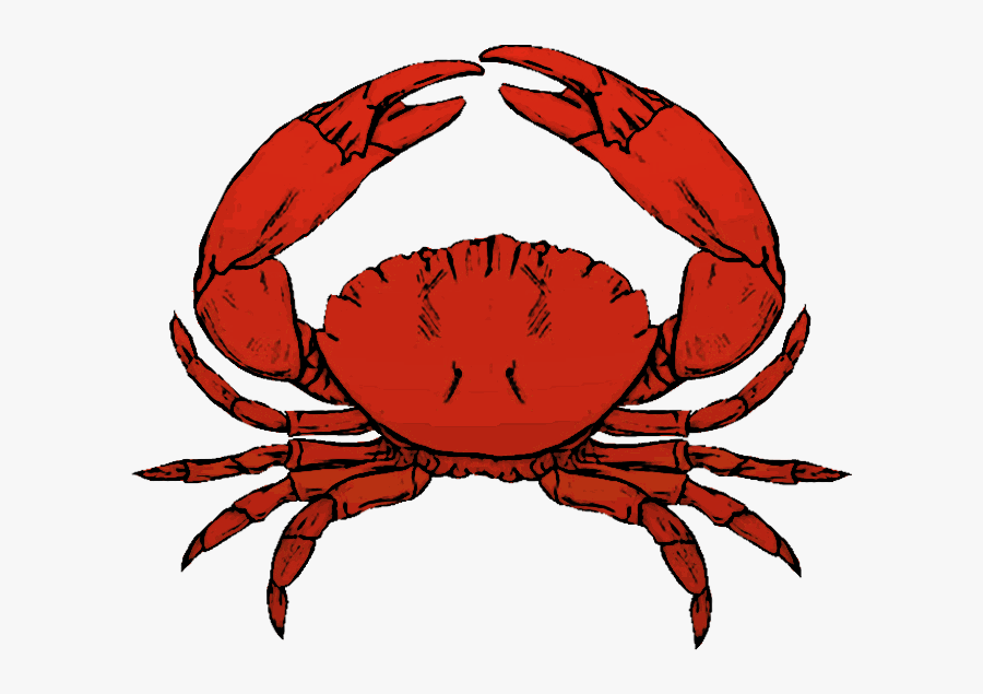 Transparent Background Crab Clipart, Transparent Clipart