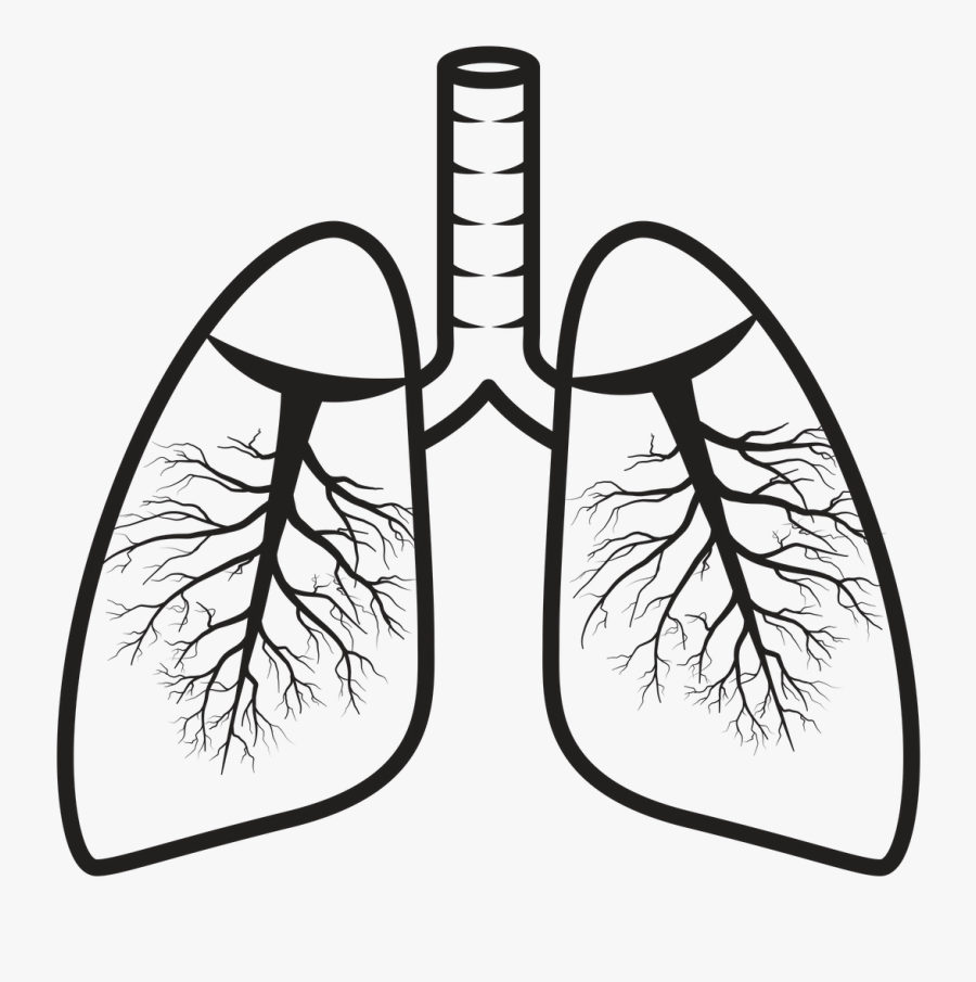 Hiking Black And White Clipart, Transparent Clipart