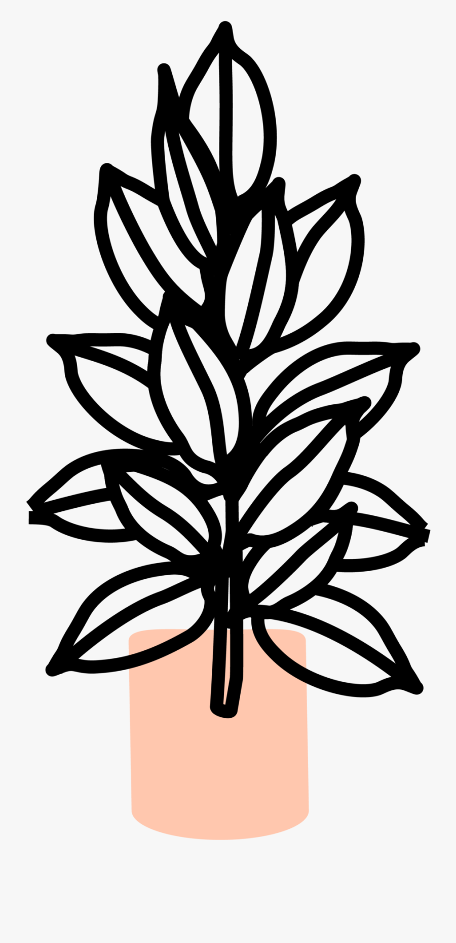 Transparent Ficus Tree Png, Transparent Clipart
