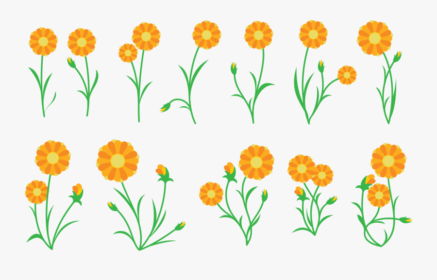 Marigold Clipart Black And White, Transparent Clipart