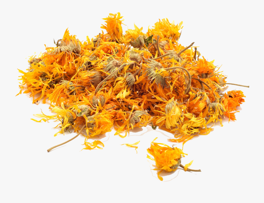 Transparent Marigolds Clipart - Calendula Seco, Transparent Clipart