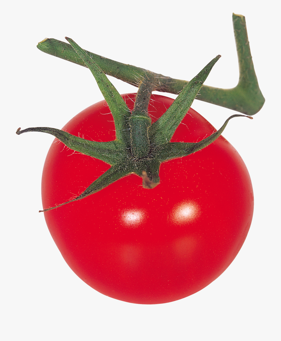 Red-tomatoes - Tomato, Transparent Clipart