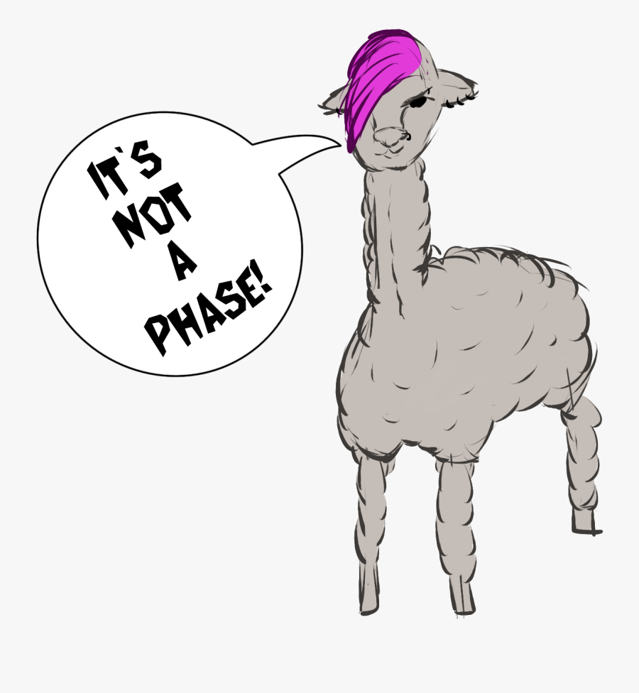 Alpaca Transparent Cartoon - Alpaca Cartoon Clipart, Transparent Clipart