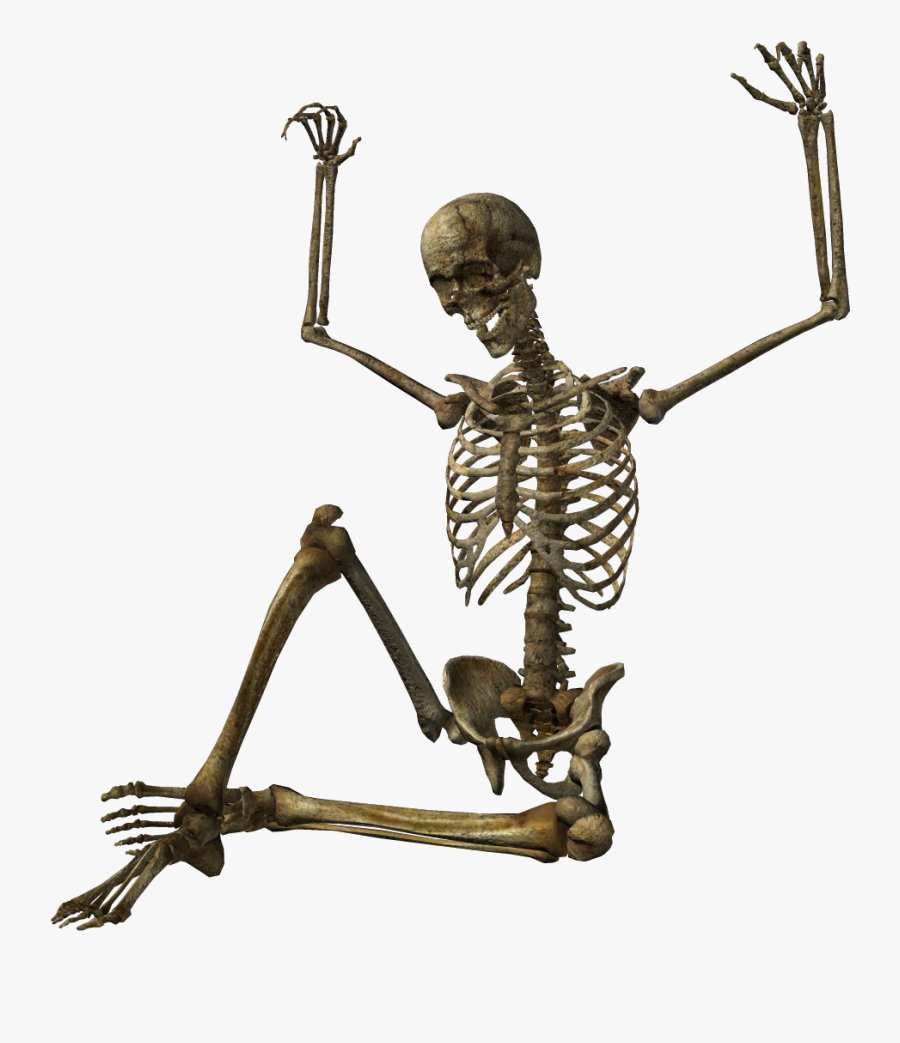 Skeleton, Skulls Png Images Free Download - Transparent Skeleton Icons, Transparent Clipart