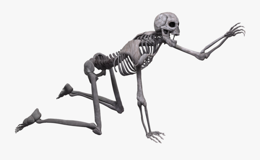 Running Skeleton Png - Skeleton Png, Transparent Clipart