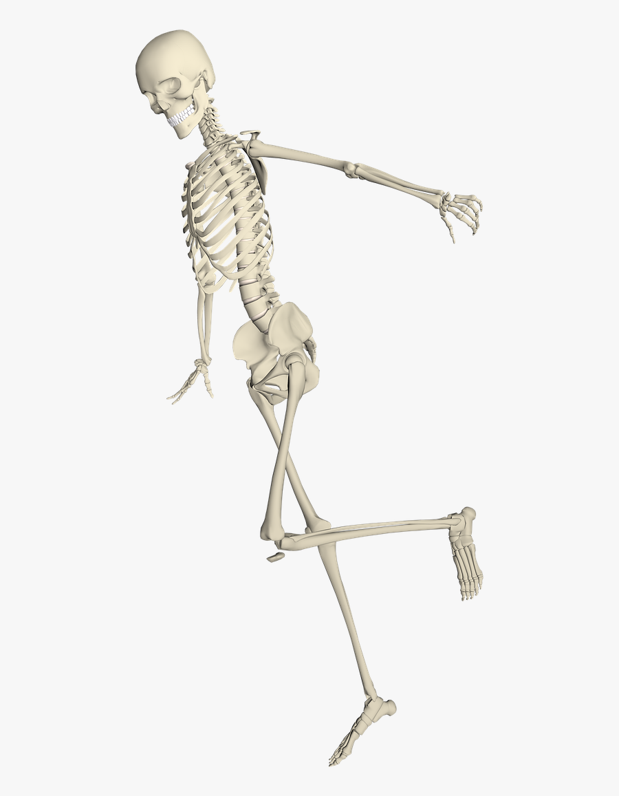 Transparent Fall Background Png - Skeleton Running With Transparent Background, Transparent Clipart