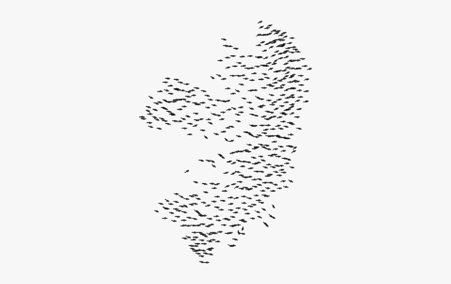 Calligraphy, Transparent Clipart