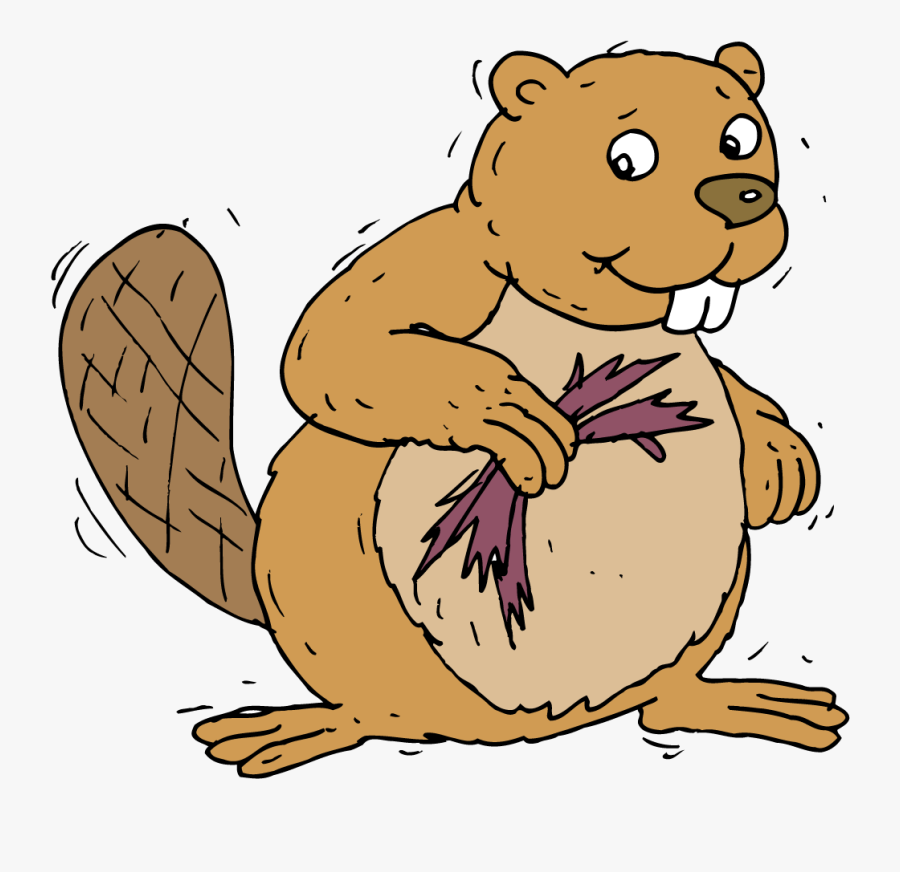 Beaver Tail Clipart - Cartoon, Transparent Clipart