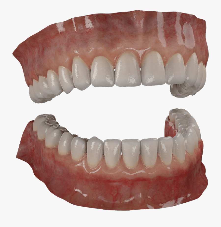 Transparent Wolf Teeth Png - Tooth, Transparent Clipart