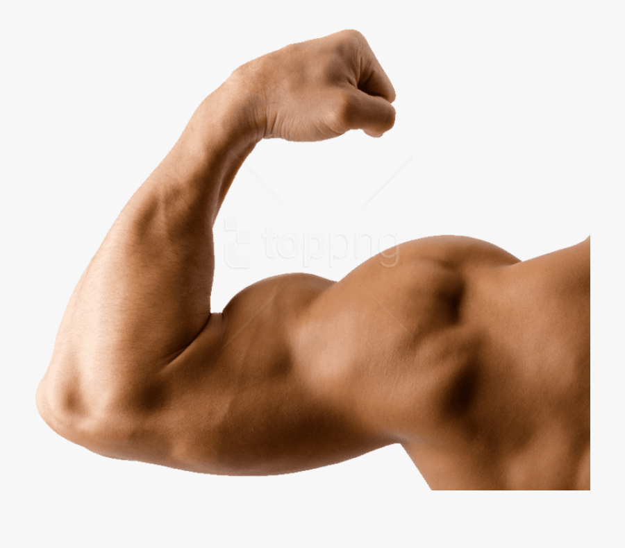 Download Images Background - Muscle Arm Transparent, Transparent Clipart
