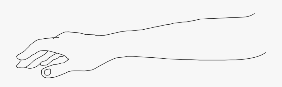 Arm, Hand, Wrist, Human, Anatomy, Body, Limbs - Arm Drawing Png, Transparent Clipart