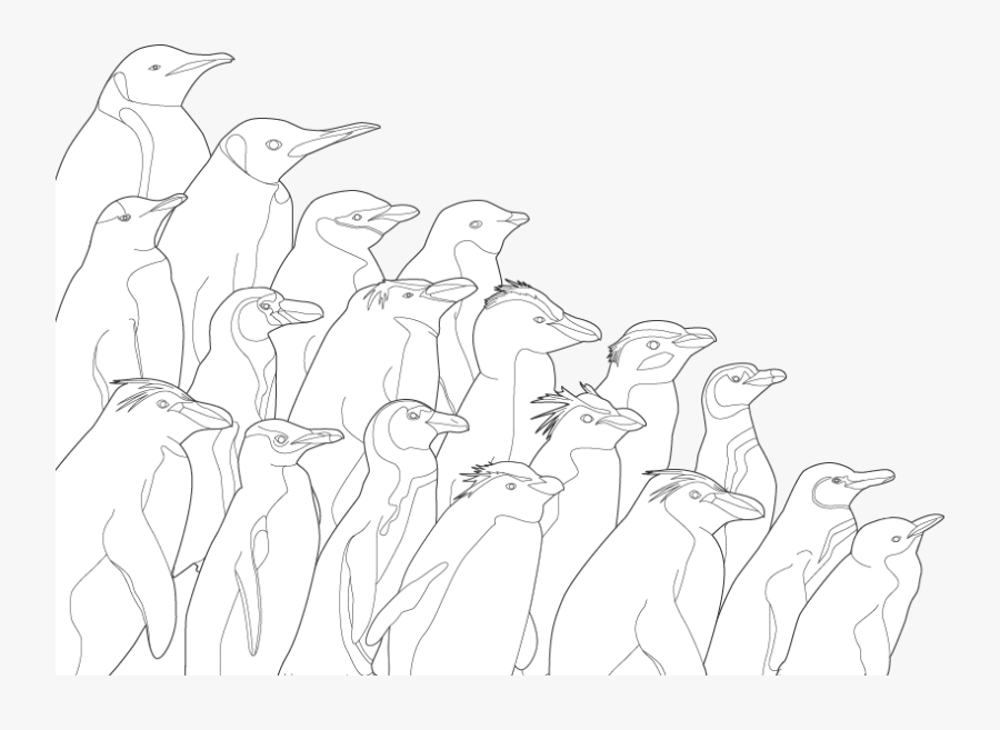 Population Of Penguins Drawing, Transparent Clipart