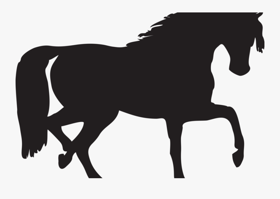 Authorities Probe Wounding Of Horse That Was Apparently - Black Horse Png Clipart, Transparent Clipart