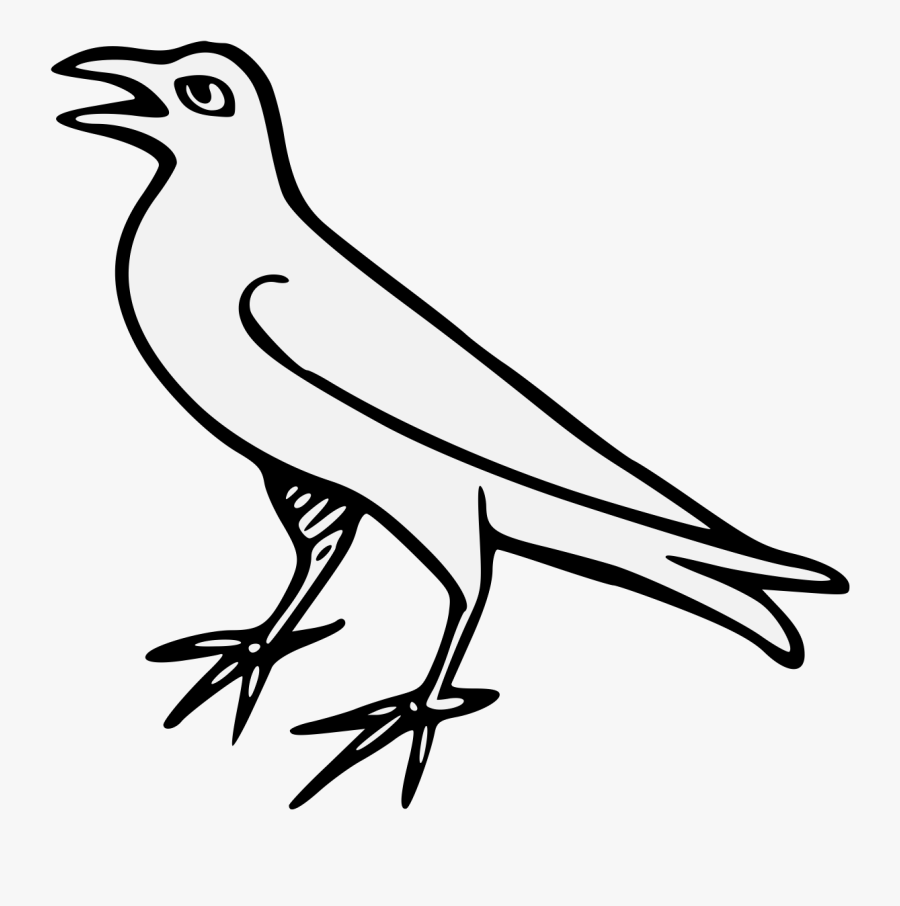 Sketch, Transparent Clipart