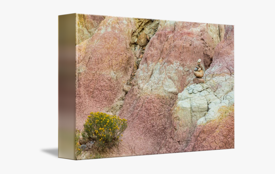 Clip Art Old Barck Of Tree - Still Life, Transparent Clipart