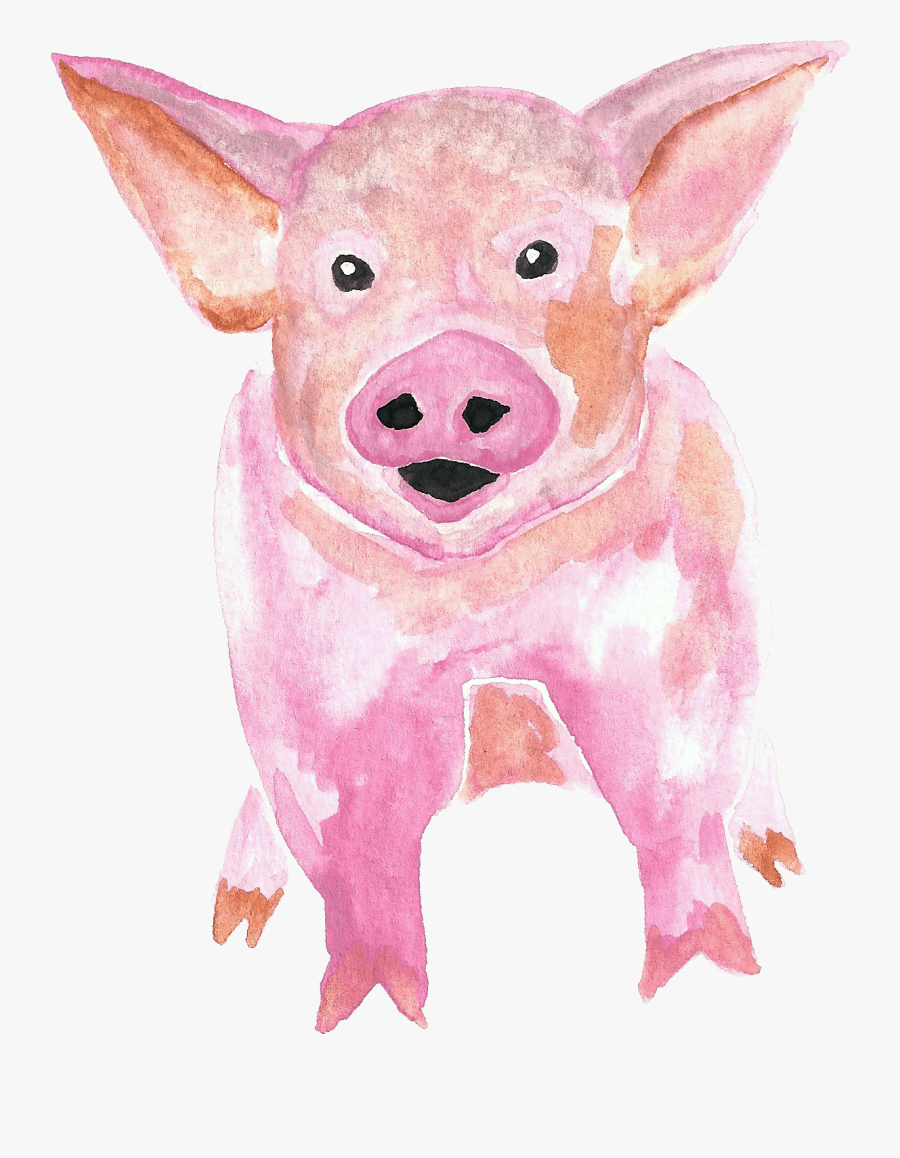 Pig Watercolor Clipart, Transparent Clipart
