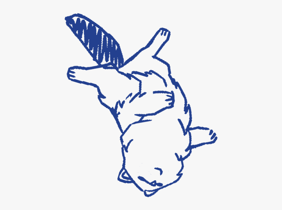 Sketch, Transparent Clipart