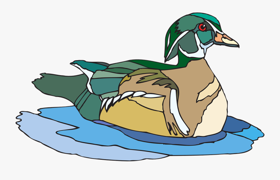 Water Brown Green Free Photo - Duck Swim Clip Art, Transparent Clipart