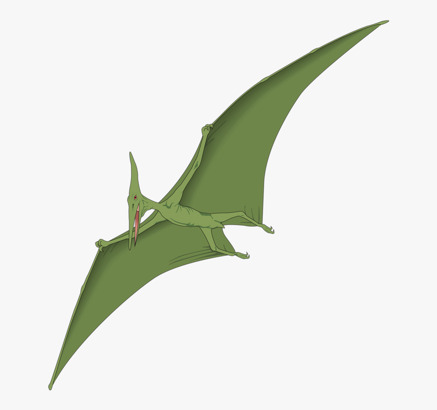 Personalized Custom Pterodactyl 14 Oz White Stainless - Dinosaur Silhouette Pteranodon, Transparent Clipart