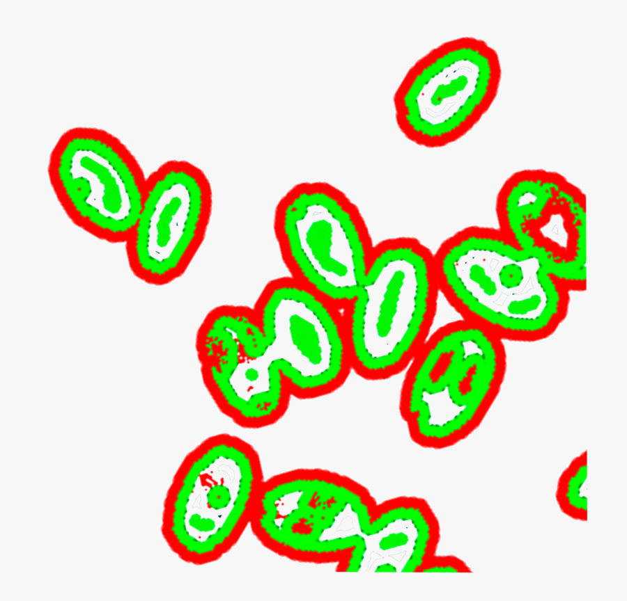 Clip Art, Transparent Clipart