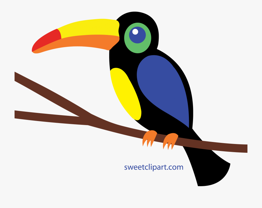 Cliparts X Carwad Net - Toucan Clipart Png, Transparent Clipart