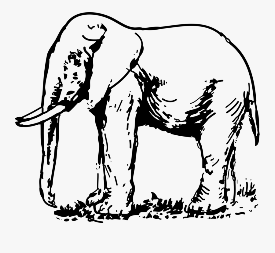 Art,monochrome Photography,carnivoran - Elephant In Black And White, Transparent Clipart